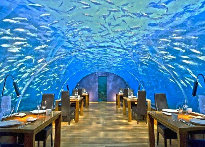 ithaa-undersea-restoran.jpg