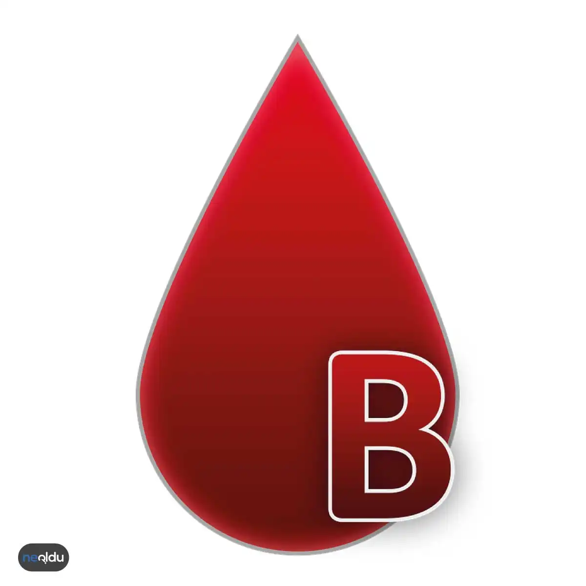 Kan Grubu Diyeti Nedir ve Nasıl Yapılır?