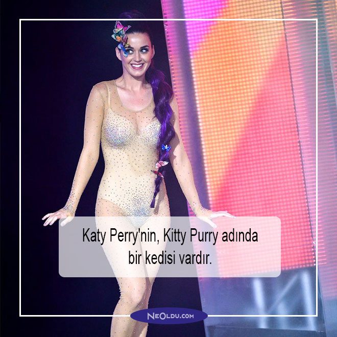 Katy Perry Hakkında Bilgi
