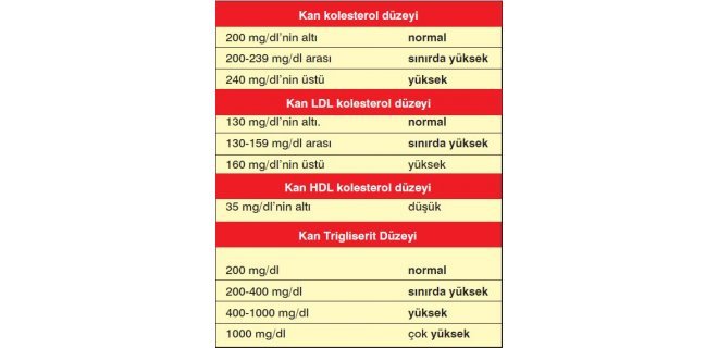 kolesterol-oranlari-.jpg