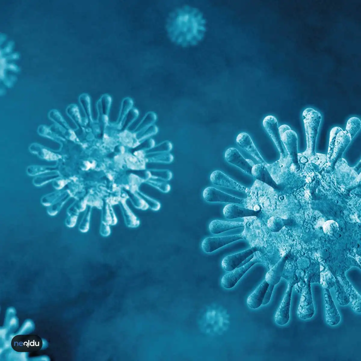 Koronavirüs Nedir?