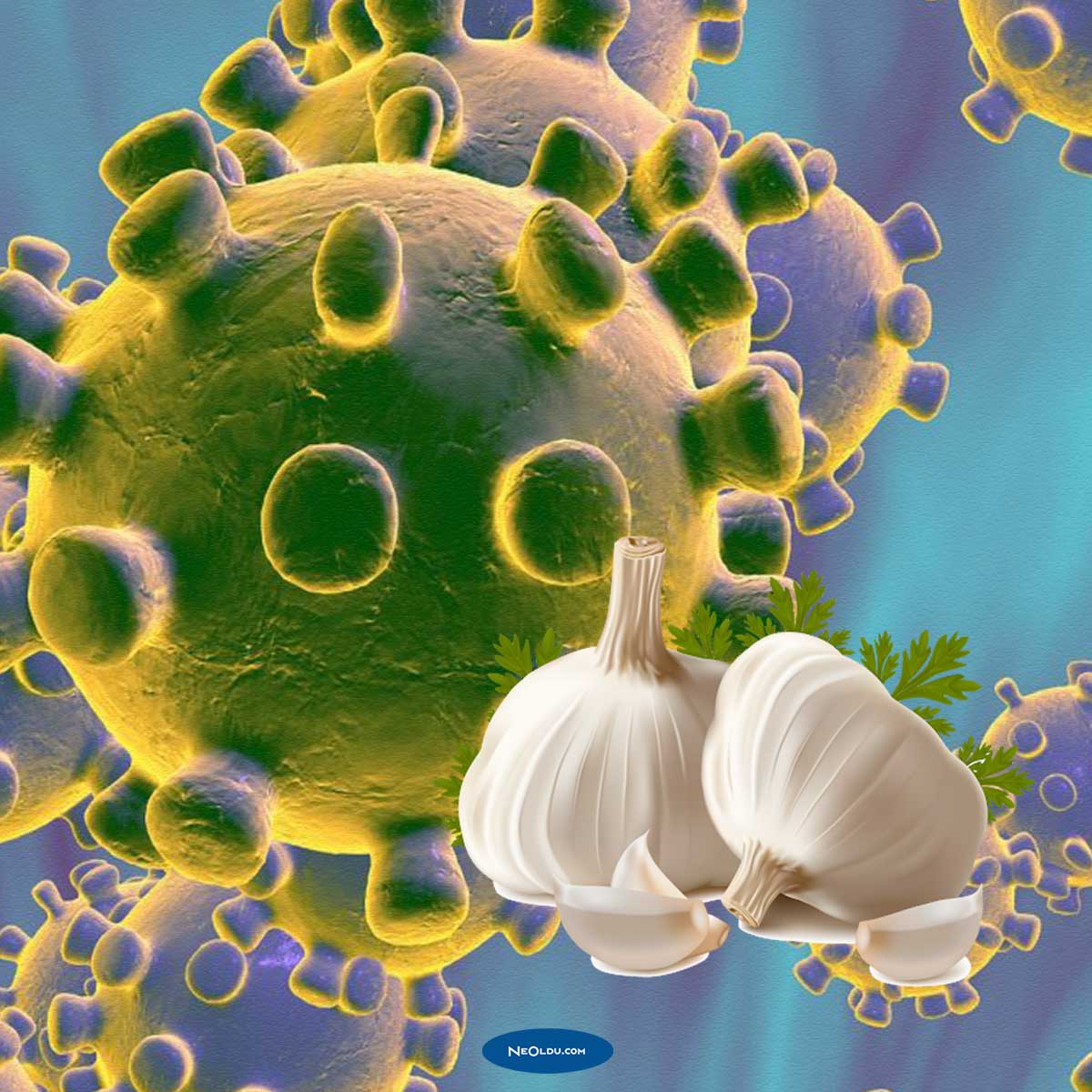 Koronavirüs Salgın Yalanları