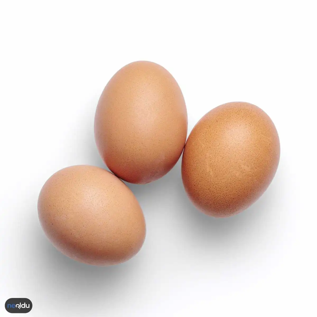 Yumurtanın Tazeliğini Anlama Yolları