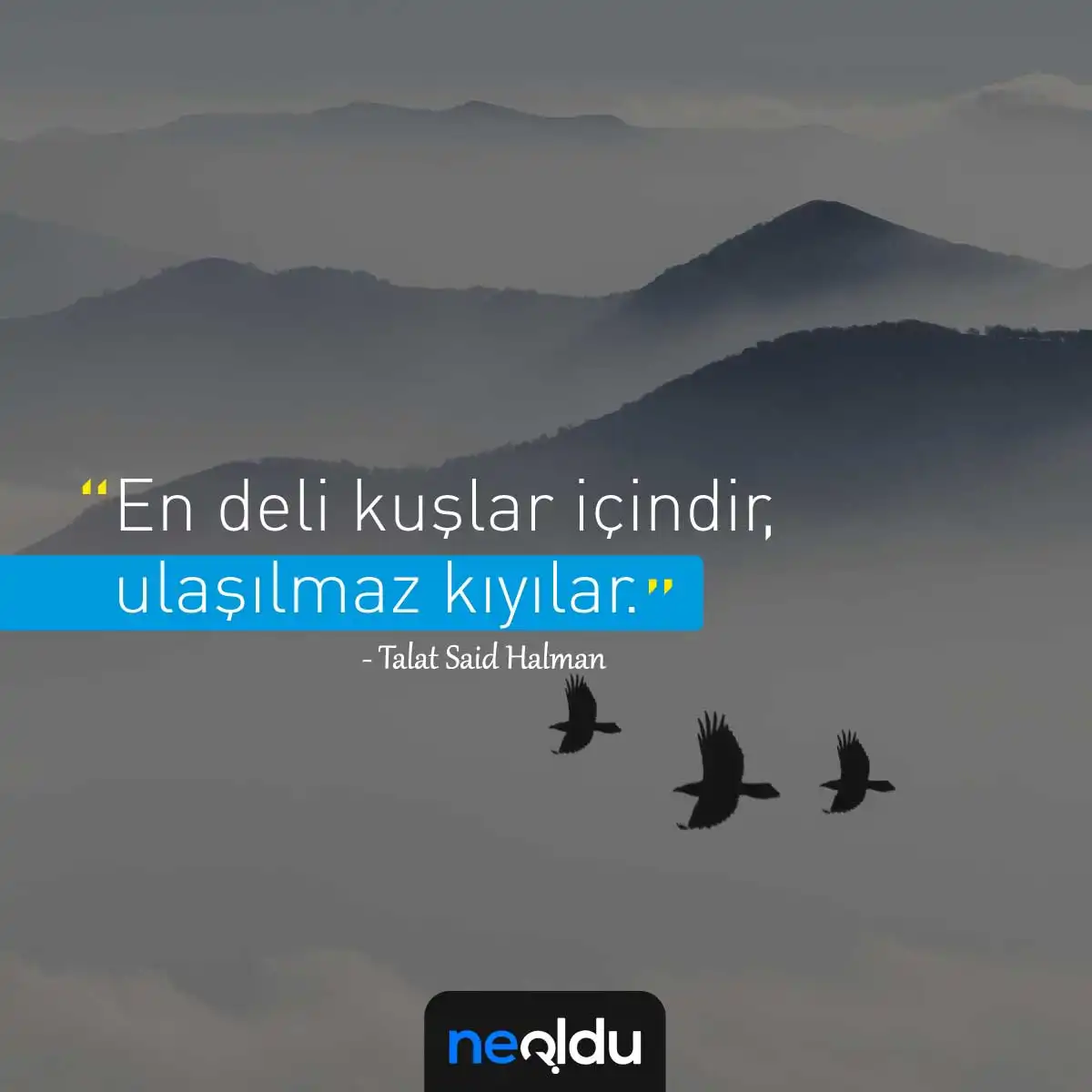Quotes about birds