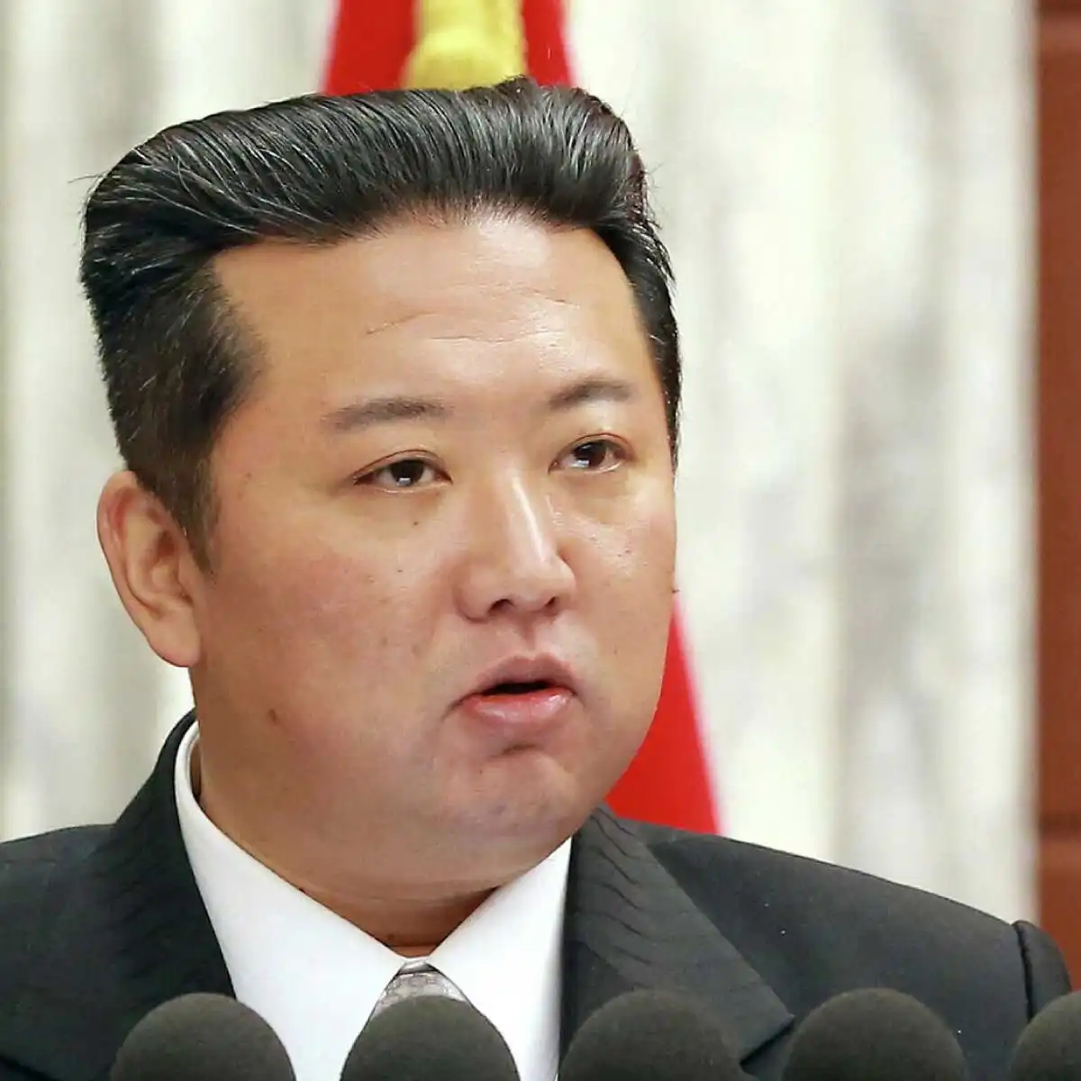 Kim Jong'un Gerçek Yüzü