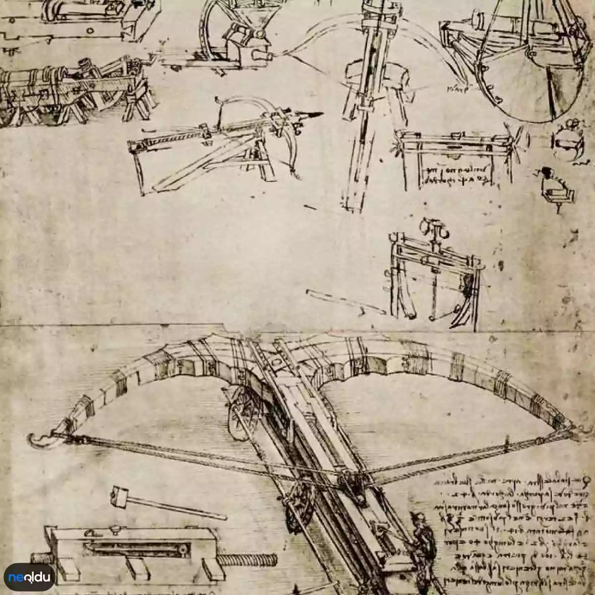 Leonardo Da Vinci Hakkında Bilgiler