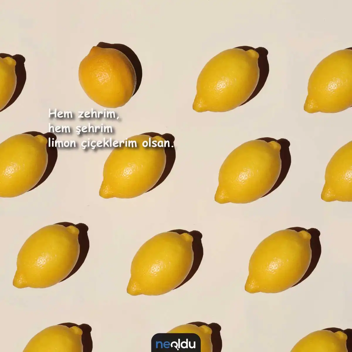Limon İle İlgili Sözler