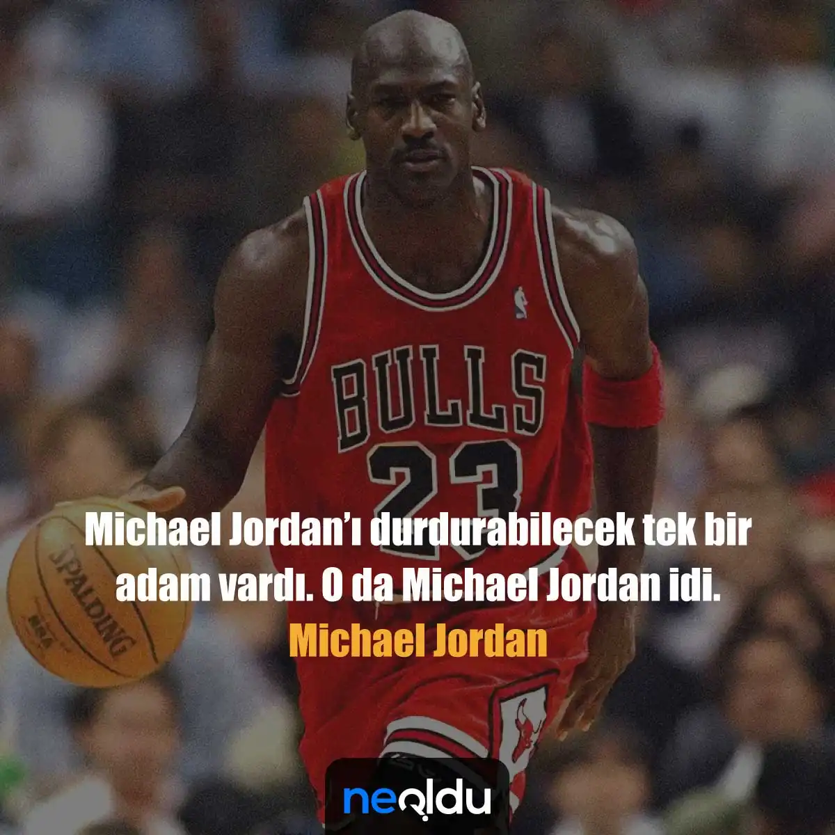 Michael Jordan Sözleri