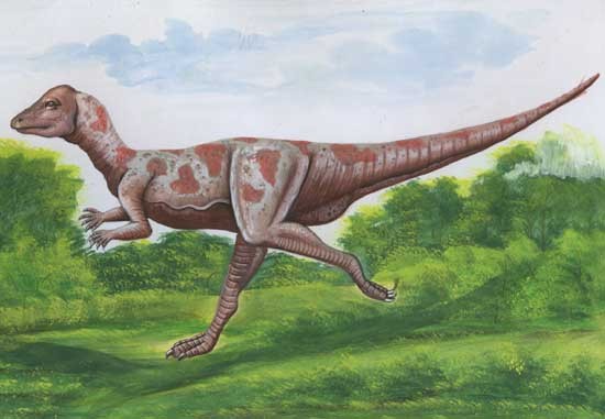 micropachycephalosaurus.jpg