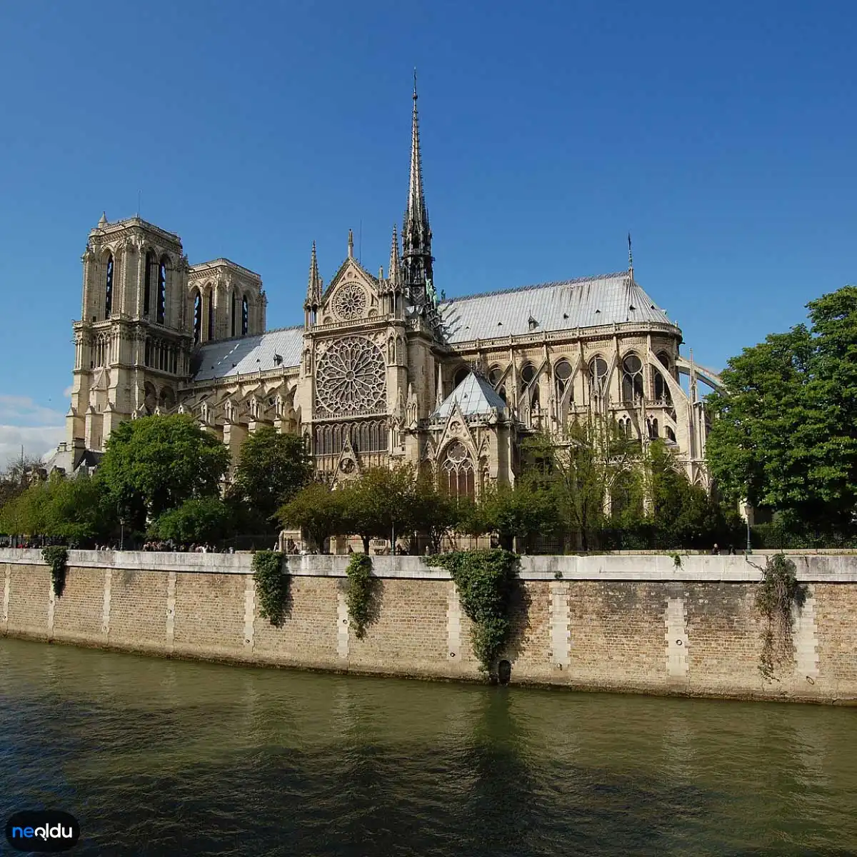 Notre Dame Katedrali Hakkında Bilgi