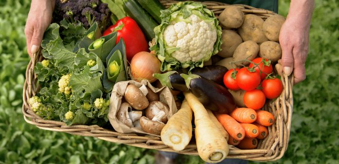 organik gıda tüketimi