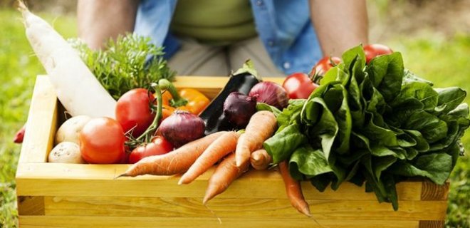 organik gıda tüketimi