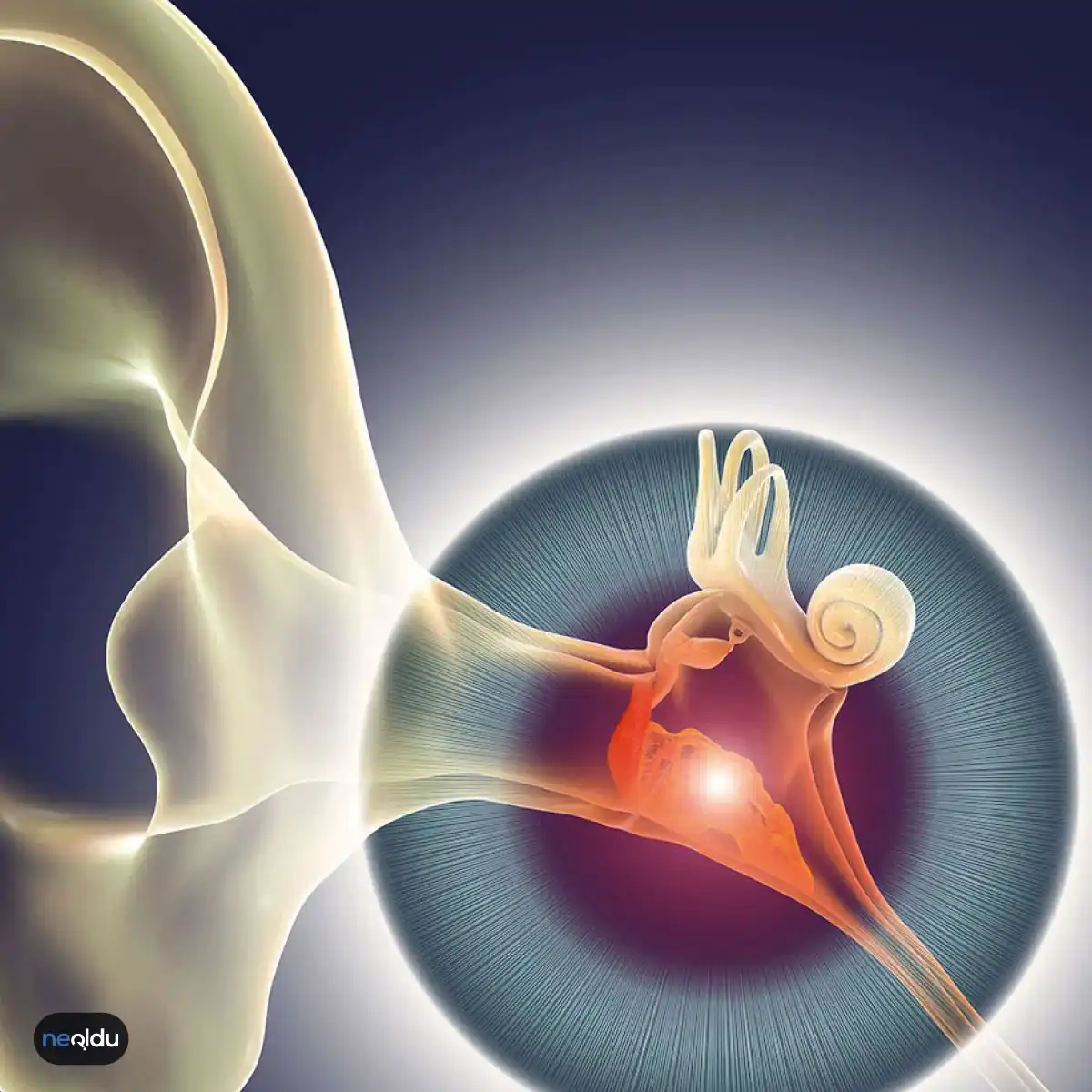Orta Kulak İltihabı Nedir ve Nasıl Tedavi Edilir?
