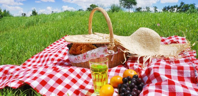 piknik malzemeleri