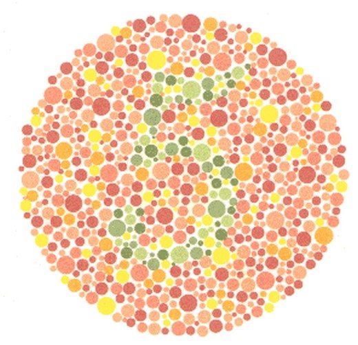 renk körlüğü testi