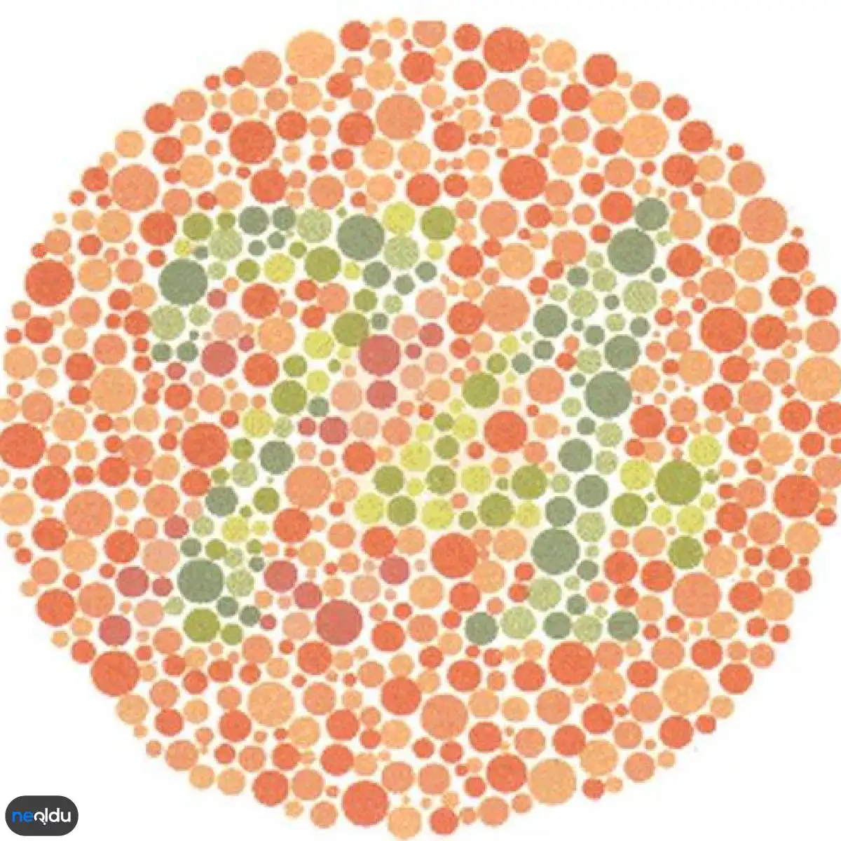 Renk Körlüğü Testleri