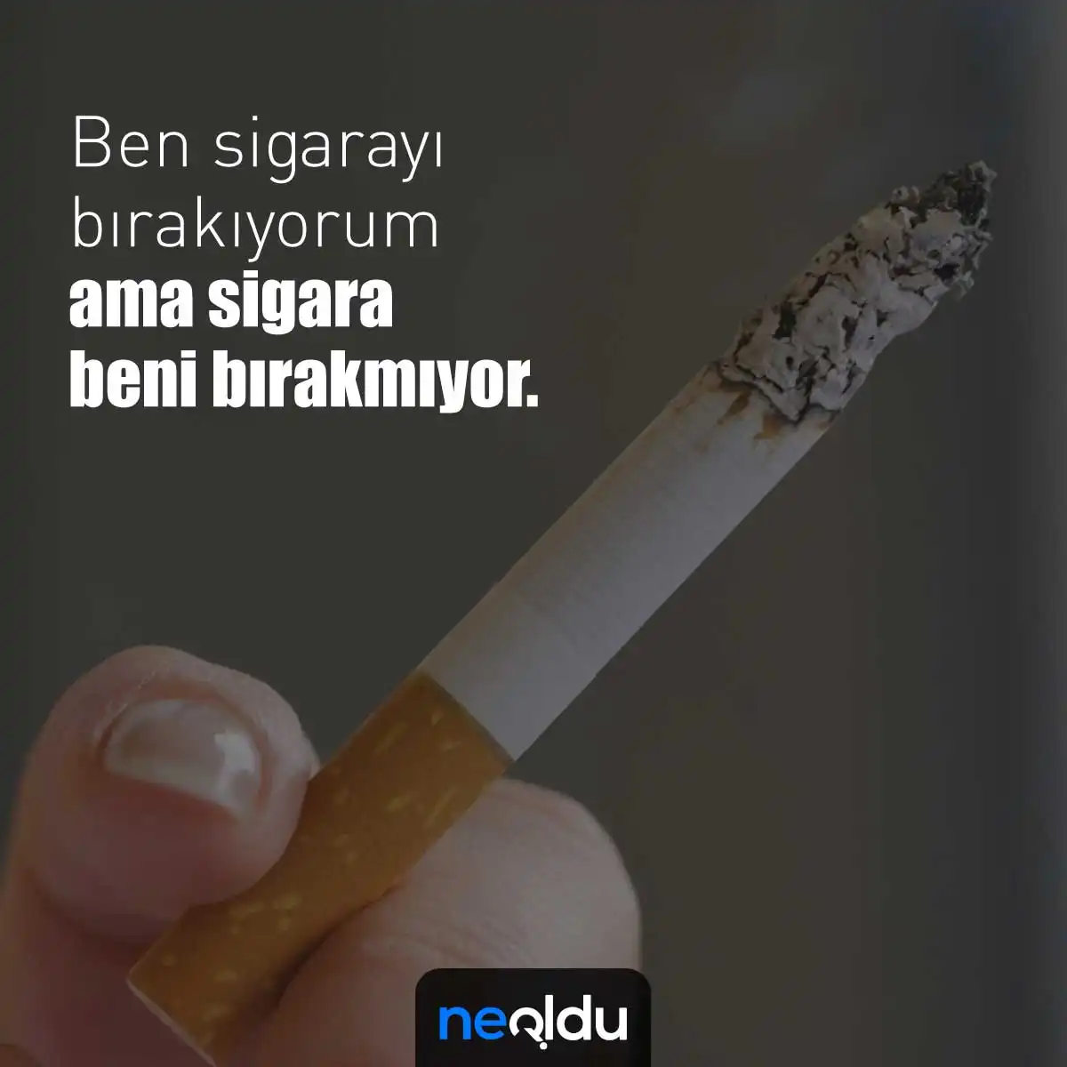 Sigara İle İlgili Sözler