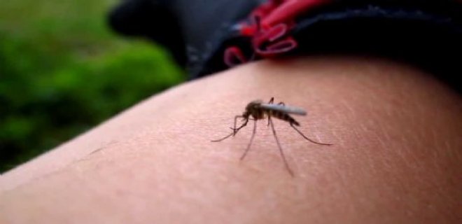 sivrisinek-isirmasi.jpg