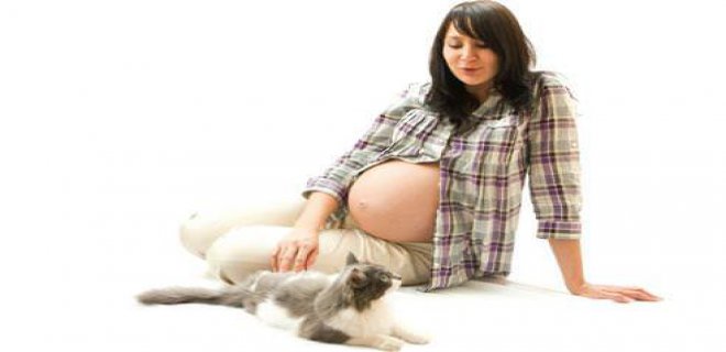 hamile kadın ve hayvan