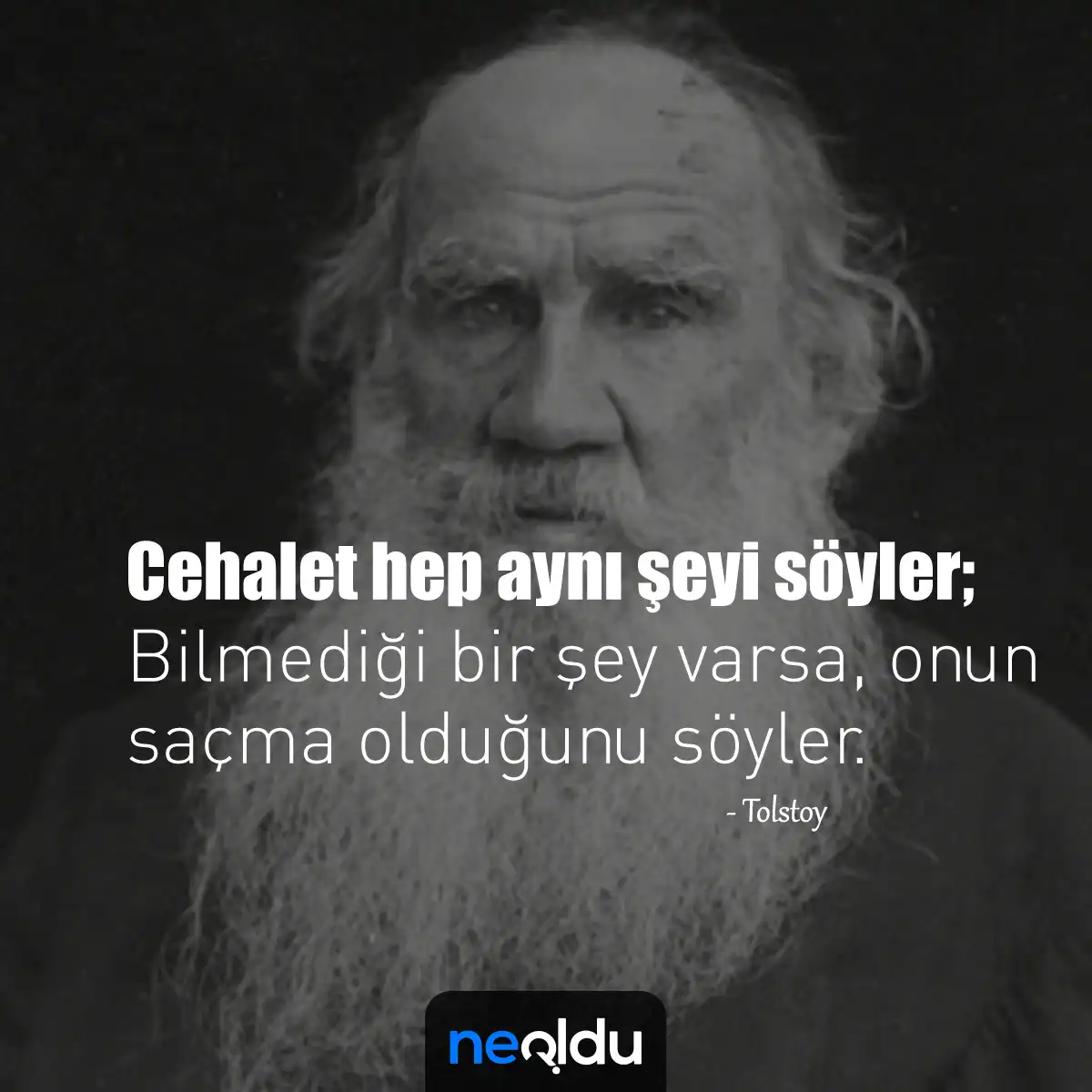 Tolstoy Sözleri