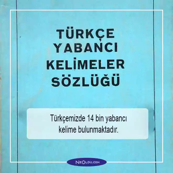 Türkiye Hakkında İlginç Bilgiler