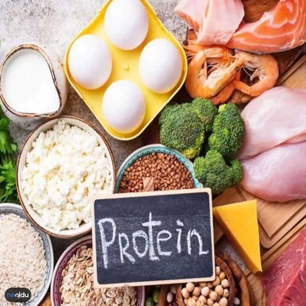 Vücut Geliştirmede Proteinin Önemi