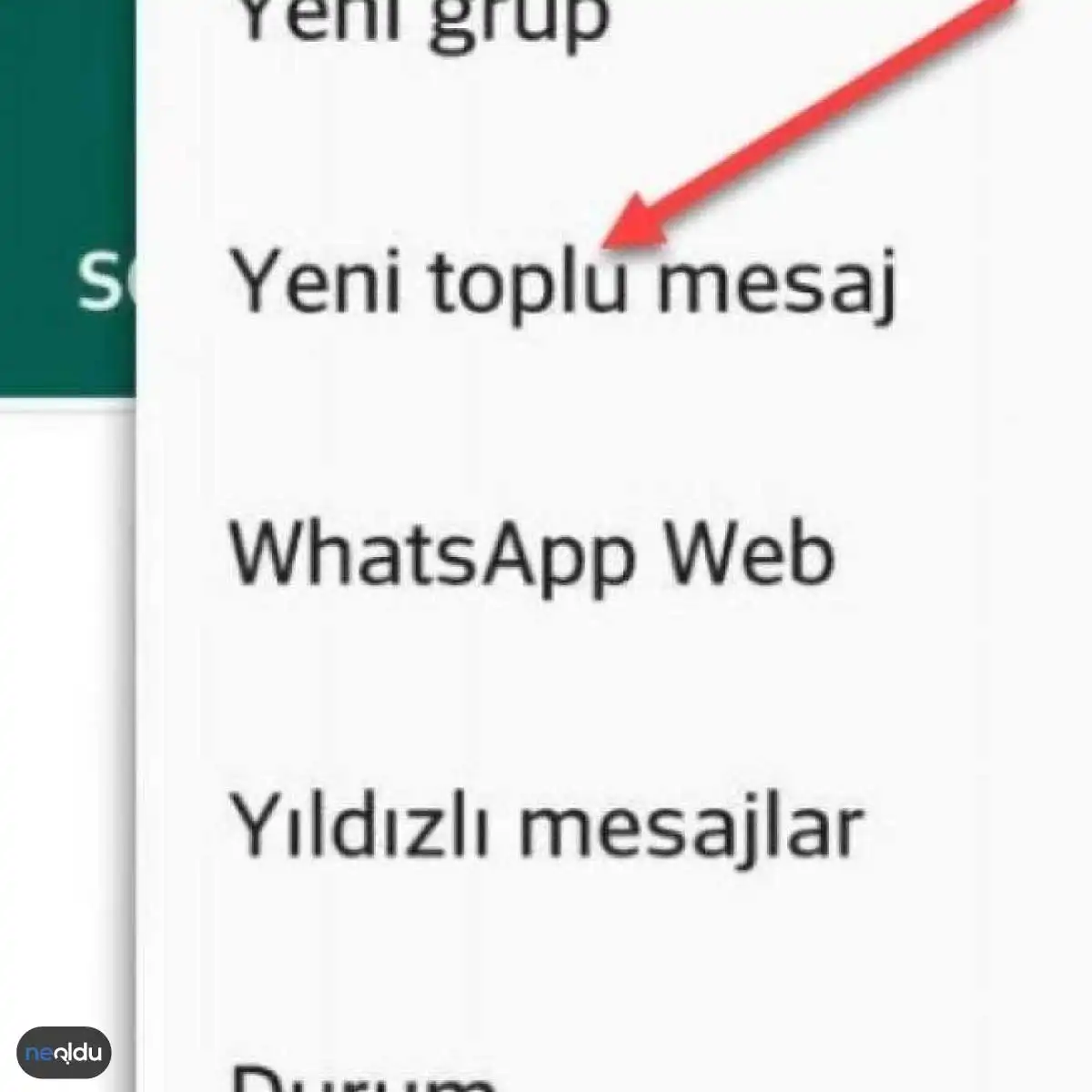 WhatsApp Toplu Mesaj