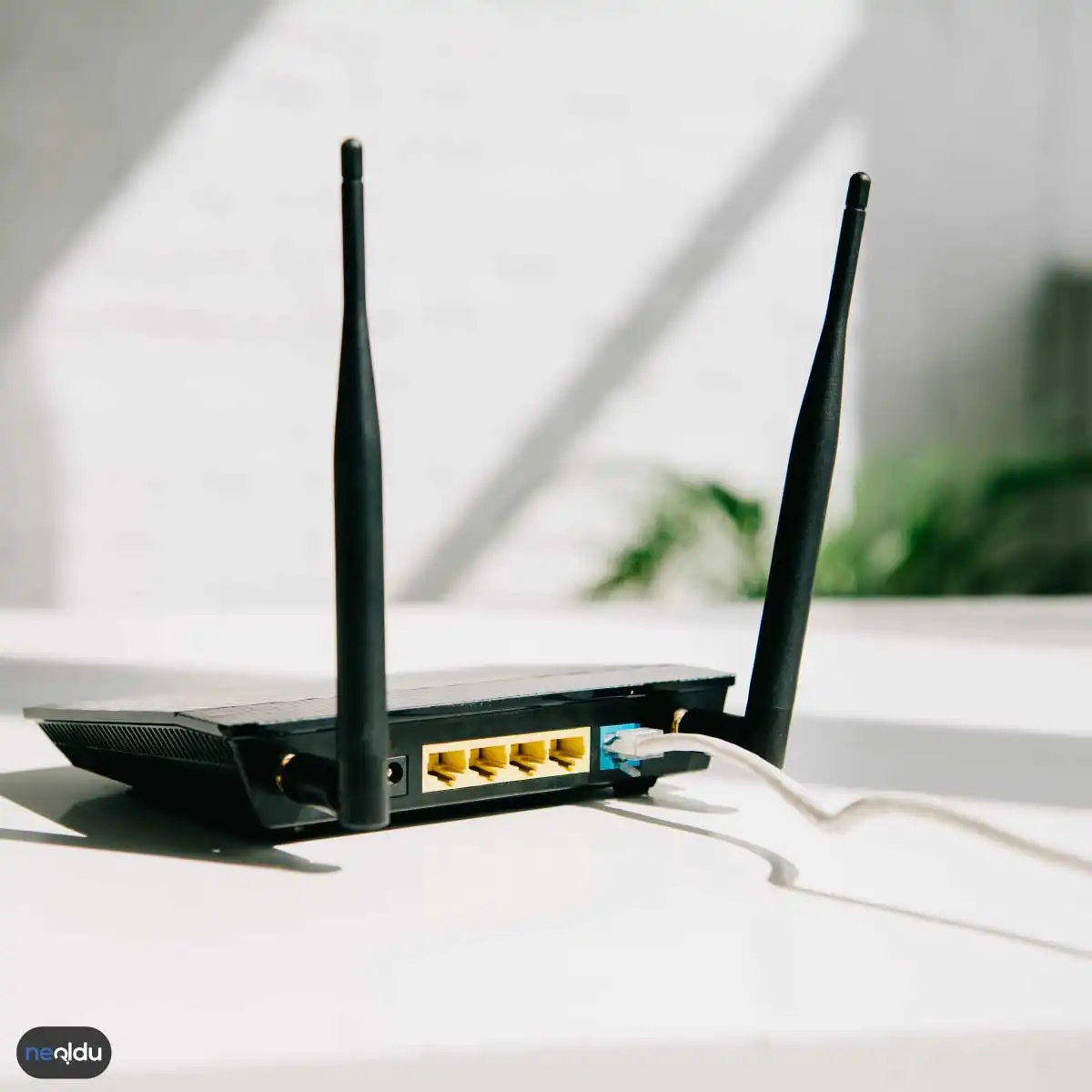 Wi-Fi Kapsama Alanını Genişletmenin Yolları