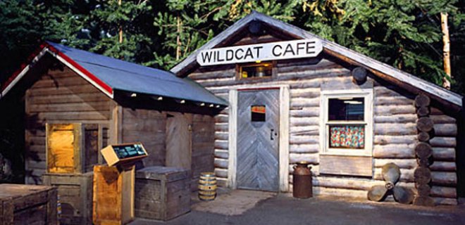 wildcat-kafe.jpg