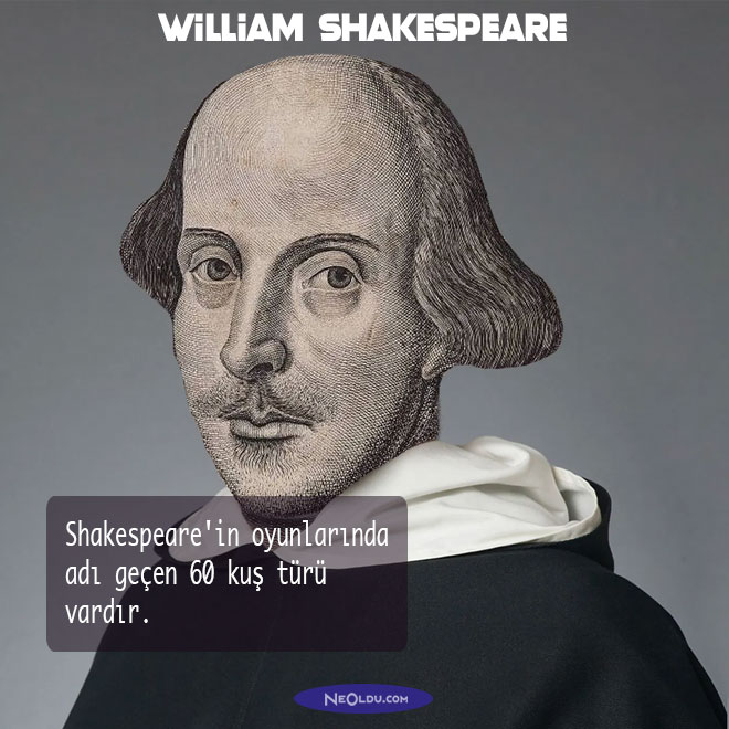William Shakespeare Hakkında Bilgi