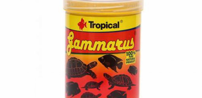 Su Kaplumbağası Yemleri-Tropical