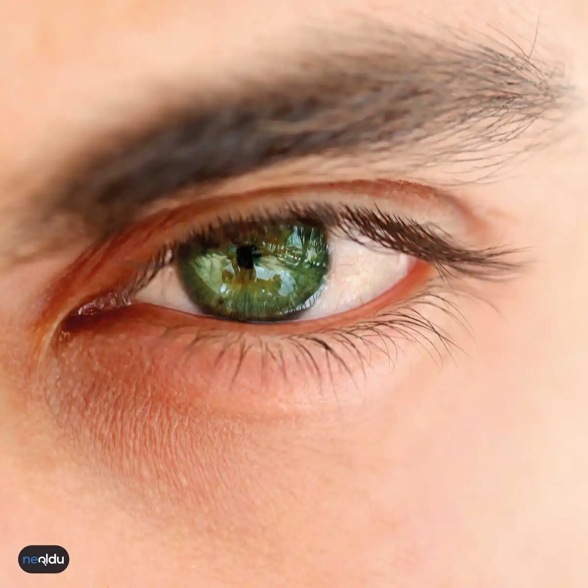 yeşil gözlü insanların özellikleri