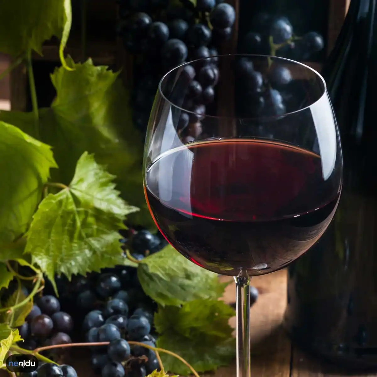 Yıllanmış Şarapları Saklama Koşulları Nelerdir?